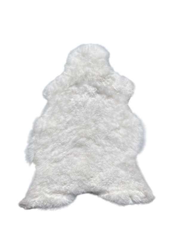IJslandse schapenvacht - naturel wit - kortharig