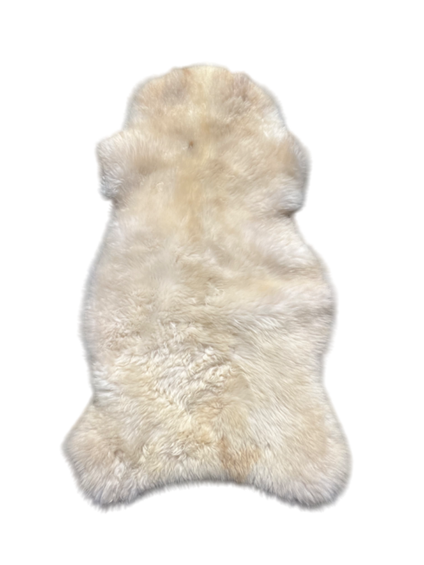 Engelse schapenvacht - Champagne