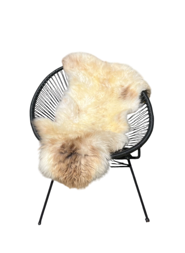 Engelse schapenvacht - MIX