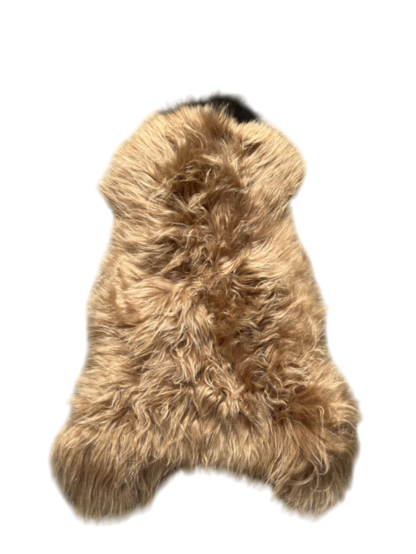 IJslandse schapenvacht - Camel gekleurd - langharig