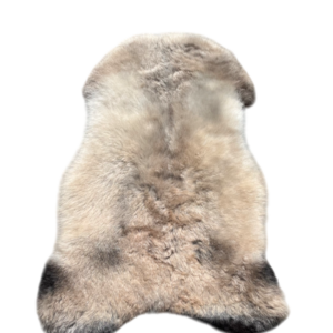 IJslandse schapenvacht - naturel mélange - kortharig