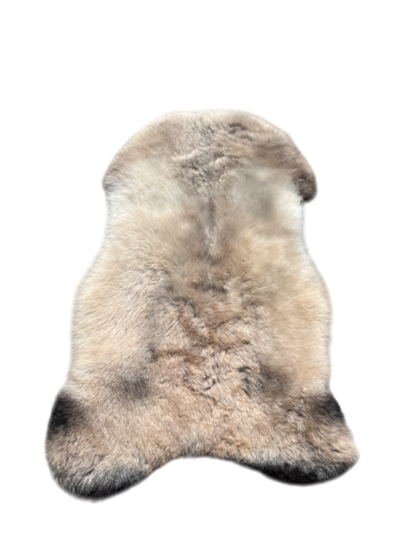 IJslandse schapenvacht - naturel mélange - kortharig