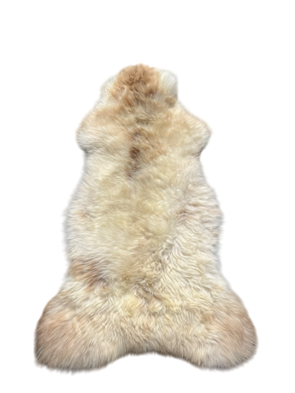 Engelse schapenvacht - MIX