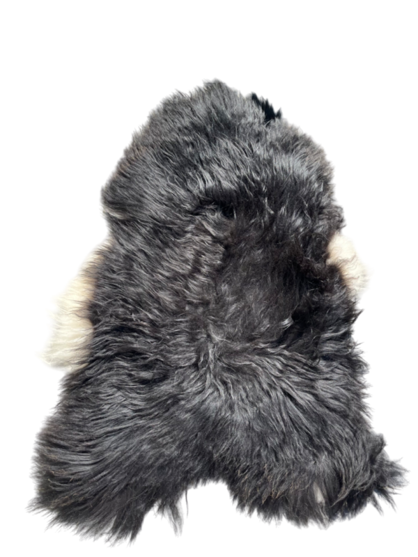 IJslandse schapenvacht - XXL - zwart-wit langharig