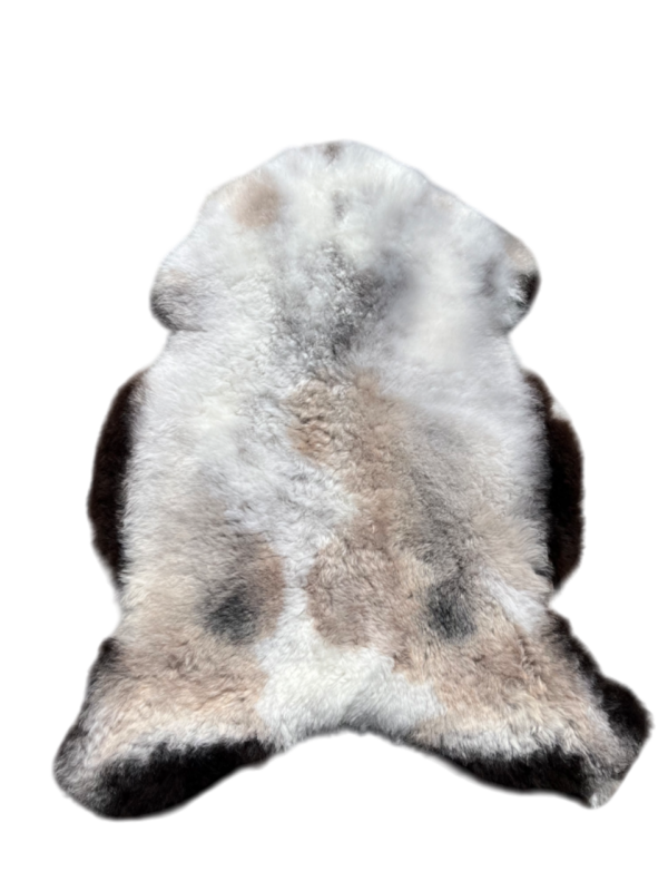 IJslandse schapenvacht - naturel mélange - kortharig