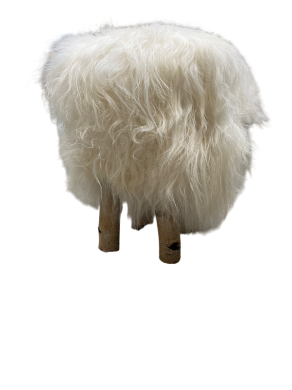 Krukje boomstam- IJslandse witte schapenvacht - langharig