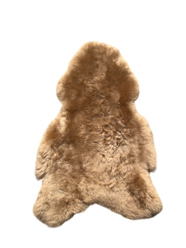 IJslandse schapenvacht - Camel gekleurd - kortharig