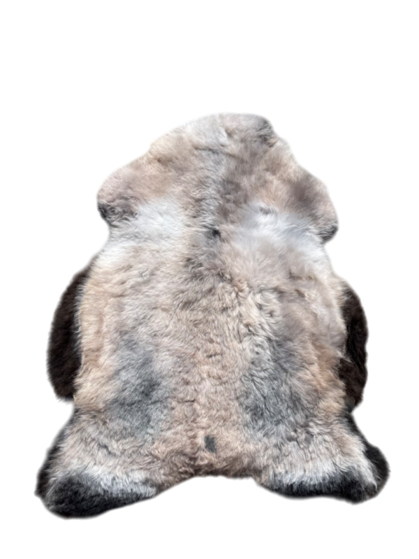 IJslandse schapenvacht - naturel mélange - kortharig