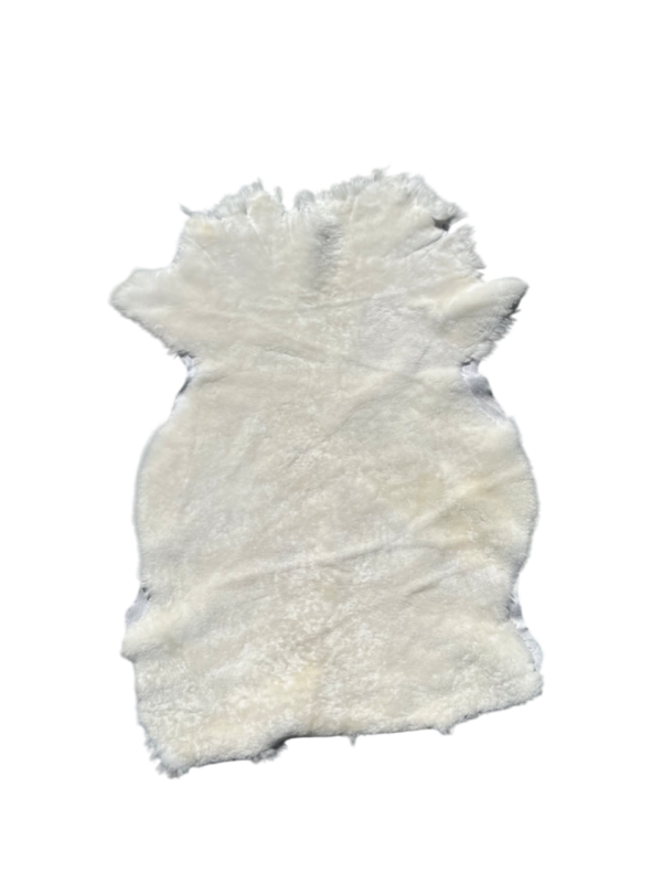 Australische schapenvacht - wit - 12-15mm kortgeschoren