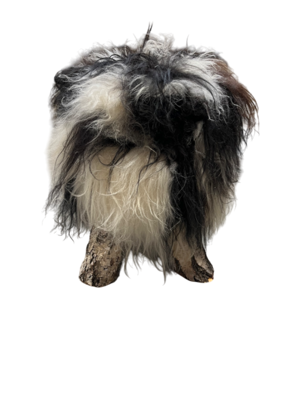 Krukje boomstam- IJslandse gespotte schapenvacht - langharig