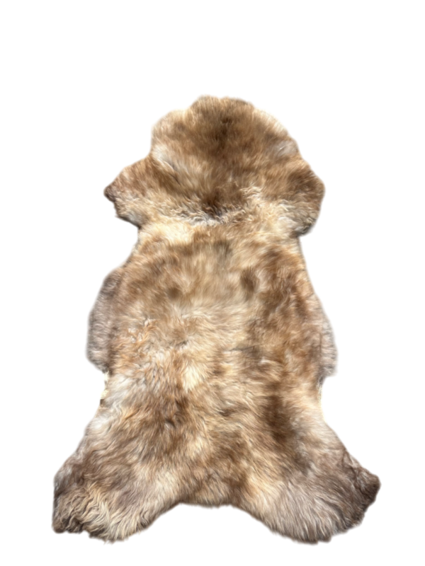 Engelse schapenvacht - MIX