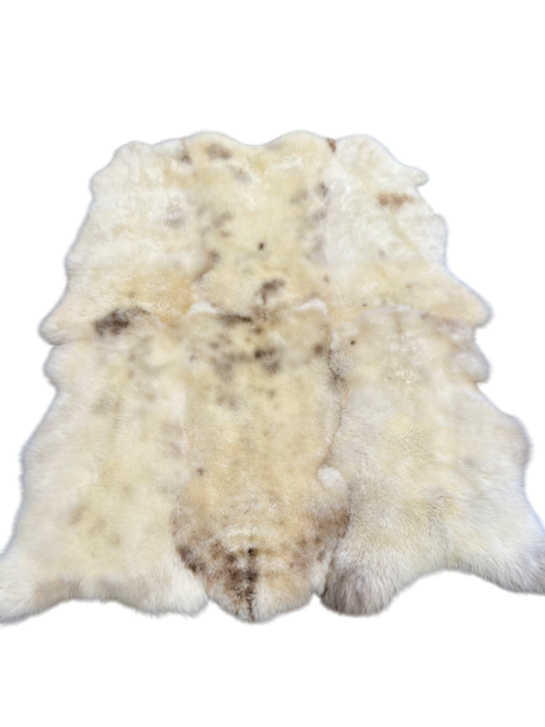 Organisch tapijt - Engels champagne - 190x160cm