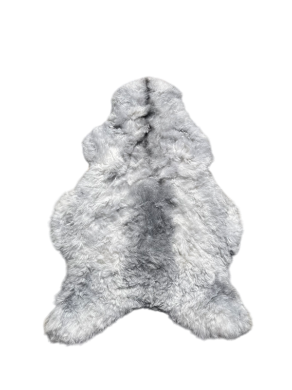 IJslandse schapenvacht - naturel grijs - kortharig
