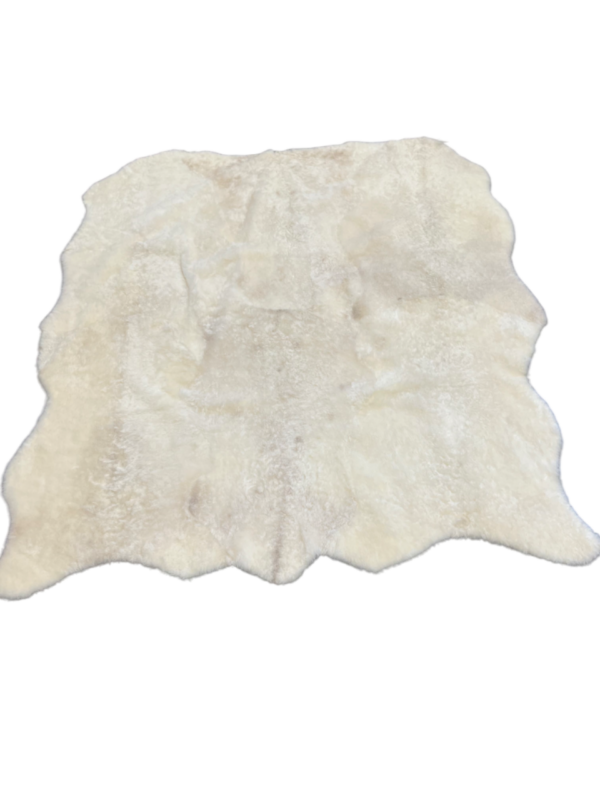 Organisch tapijt - IJslands gebroken wit - kortgeschoren- 170x170cm