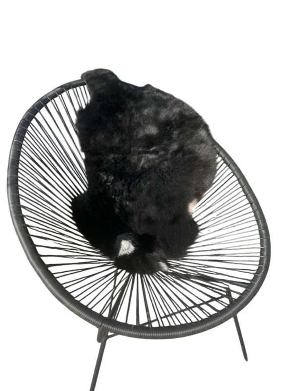 Lamsvel - naturel zwart- maat V