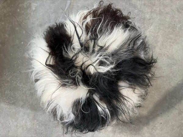 Krukje boomstam- IJslandse gespotte schapenvacht - langharig