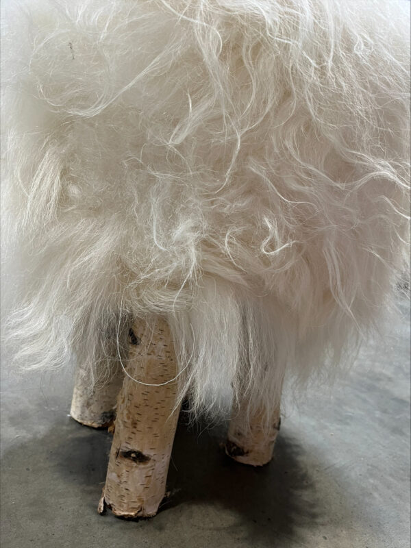 Krukje boomstam- IJslandse witte schapenvacht - langharig