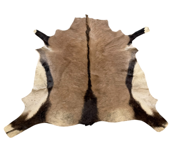 Oryx huid - 140x140cm
