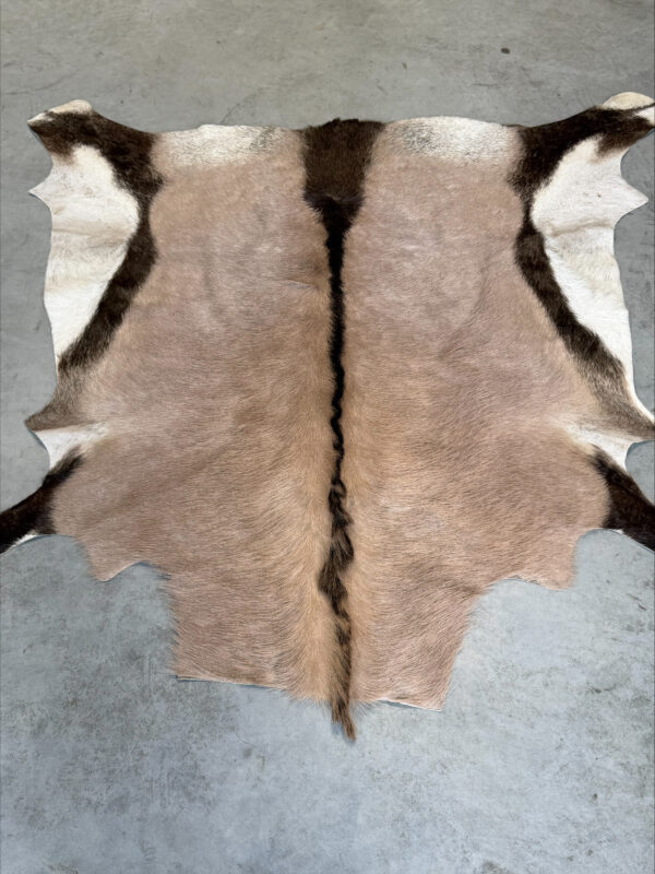 Oryx huid - 140x140cm