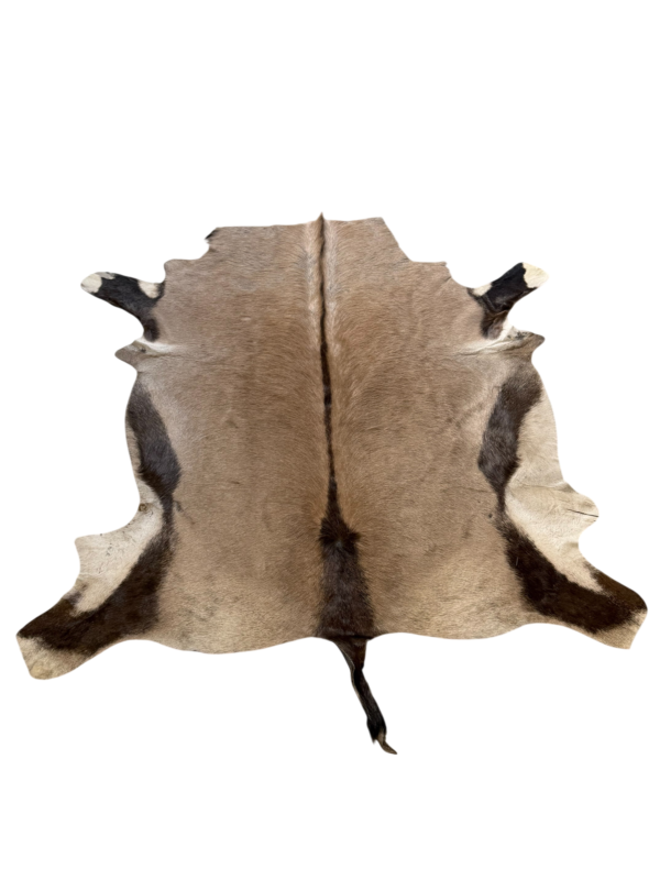 Oryx huid - 170x140cm