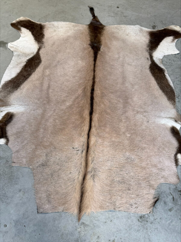 Oryx huid - 170x140cm