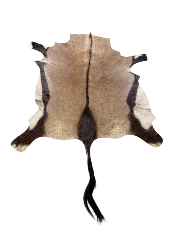 Oryx huid - 220x140cm