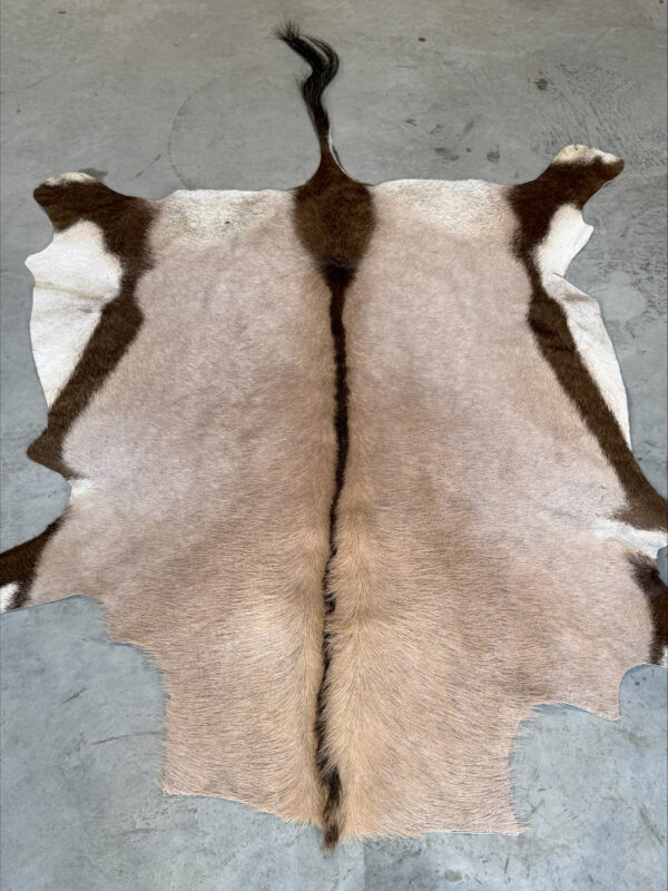 Oryx huid - 220x140cm