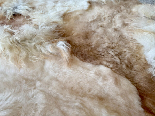 Handgenaaid patchwork tapijt - Soft beige- 3 lengtes- 170x130/140cm