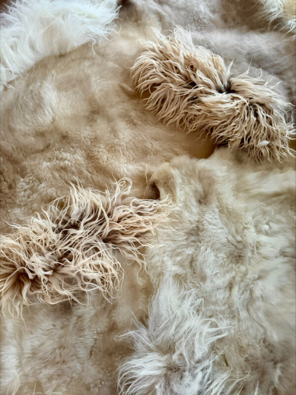 Handgenaaid patchwork tapijt - Soft beige/white- 3 lengtes- 210x180cm